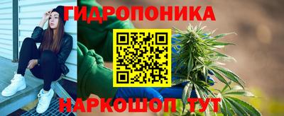 шишки Ликино-Дулёво