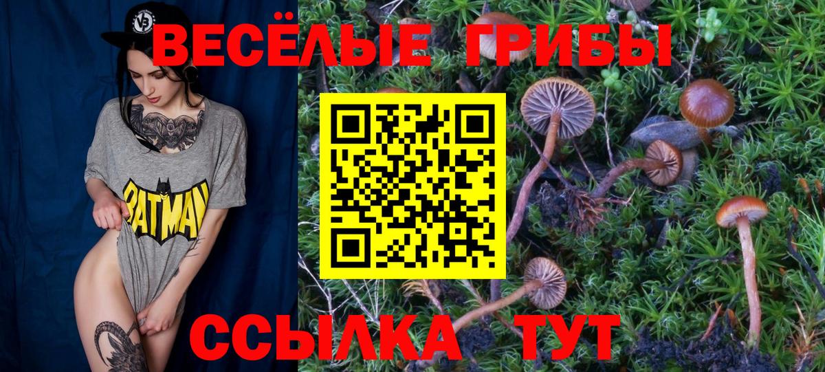 Псилоцибиновые грибы мицелий  Вход с VPN  где можно купить наркотик  Ханты-Мансийск  Галлюциногенные грибы мицелий 
